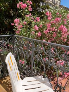 Hôtel Belle Meunière - Nice - 7