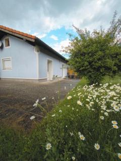 Ferienhaus Nest - 7