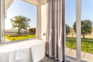 Contemporary Home in Secure Estate in the Wineland - - 5