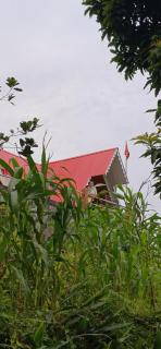 Poudyal Farm - Temi - 3