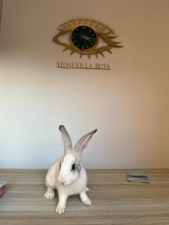 Stonevilla Buta - Himare - 9