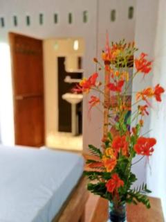 Dragonfly Guesthouse M'Pai Bay - Koh Rong Sanloem - 9