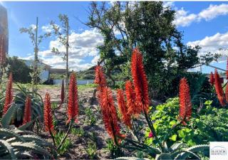 Blouberg Heights 201 - 7