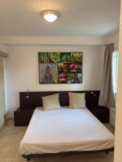Beautiful accommodation, private residence - Linguizzetta - 1