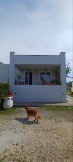 Tzitzi Pistachio Villa - Khlóï - 3
