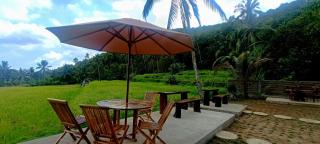 Kacu Bali - Munduk - 7