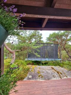 Chill House 15 min from Preikestolen - 6