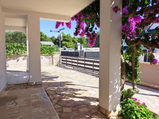 Apartments Jolić - 9