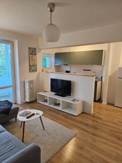 1 bedroom flat full of sun - Bucharest - 2