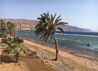 Rayan stay - Dahab - 2