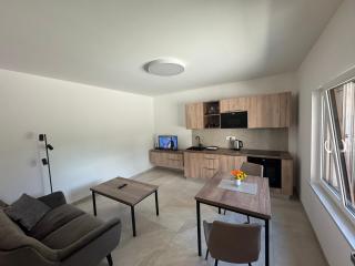 Apartmán 864 - Karlovy Vary - 5