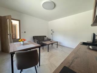 Apartmán 864 - Karlovy Vary - 2