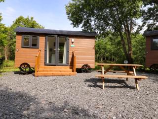 Shepherds Hut 1 - Preston - 0