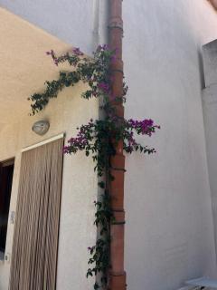 Hawaii Siciliane - Castelluzzo - 8