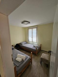 Lemon House - 2