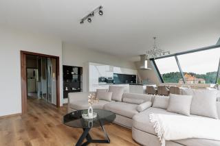Unique Penthouse with terrace and exceptional view - Karlovy Vary - 9