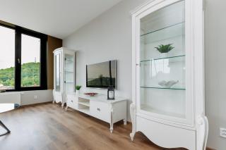 Unique Penthouse with terrace and exceptional view - Karlovy Vary - 1