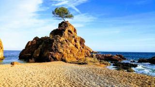 Nautic 2 2 minutos de la playa, AC P - Tossa de Mar - 8