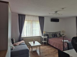 Apartment Rosalie Burgblick EuropaPark in ca 15min erreichbar - Kenzingen - 1