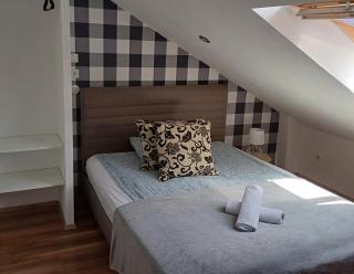 Studio apartma ZARA - Slivnica pri Mariboru - 3