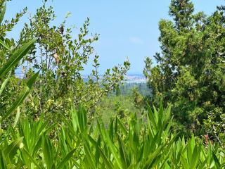 Linda House Corfu - Gastourion - 1