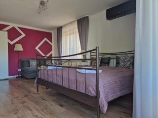 Apartment Rosalie Burgblick EuropaPark in ca 15min erreichbar - Kenzingen - 8
