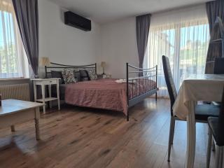 Apartment Rosalie Burgblick EuropaPark in ca 15min erreichbar - Kenzingen - 7