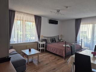 Apartment Rosalie Burgblick EuropaPark in ca 15min erreichbar - Kenzingen - 6