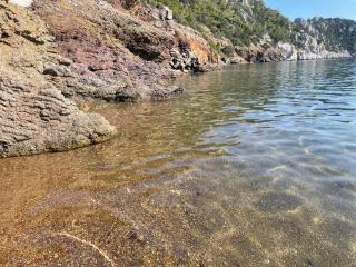 Φυταλμιος - 8