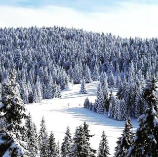Zlatibor Moon - Bukorovac - 4