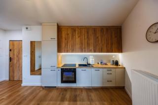 Aurora Premium Apartment- City Centre, Free Parking - Rzeszów - 7
