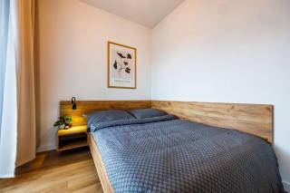 Aurora Premium Apartment- City Centre, Free Parking - Rzeszów - 6