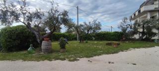 La Fattoria dei Desideri - Ripa Teatina - 5