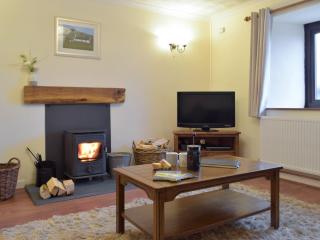 Pengelli Cottage - Eglwyswrw - 8