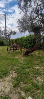 La Fattoria dei Desideri - Ripa Teatina - 7