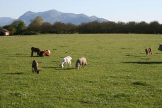 Gite Vercors-Chambaran - 7