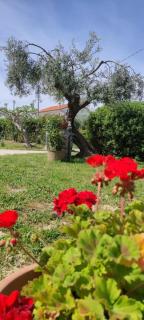 La Fattoria dei Desideri - Ripa Teatina - 8