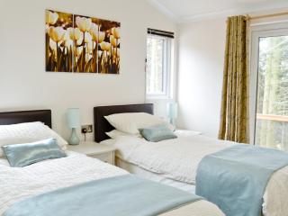 Ash Lodge - Clatworthy - 3