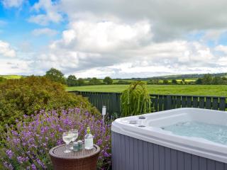 Pleasant Valley - New Hedges - 0