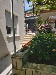 Apartman Magdalena Viganj - Viganj - 5
