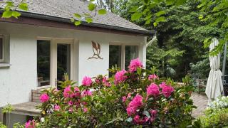 Villa des Grues à Filly - Houffalize - 9