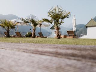 Hotel Alpenblick Zillertal - Hippach - 8