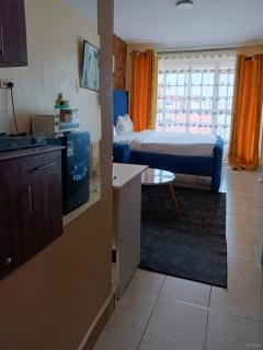 Aheri Homes - Ruaka - 4
