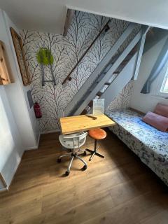 Petit Duplex Centre Ville - Straßburg - 4