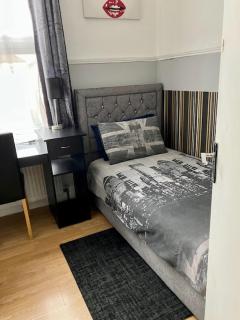Comfy rooms. Shared East London Homestay. - Londra - 7