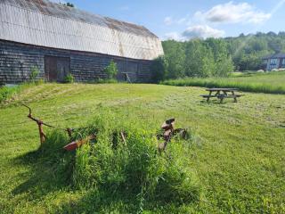 Auberge Schweizer - 3