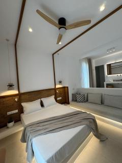 Noble Pearl Villas Paros - Santa Maria - 1