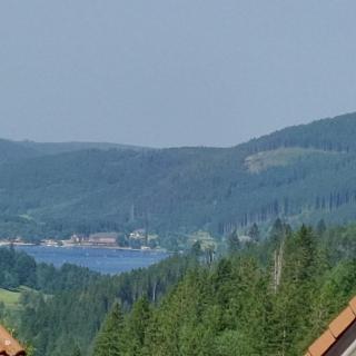 Seeblick in Feldberg - Feldberg - 9