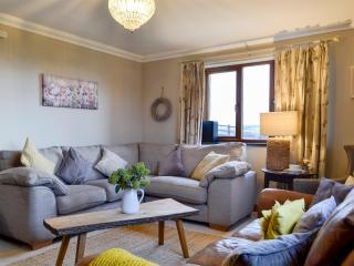 Maes Y Bryn Farmhouse - Llanwrda - 4