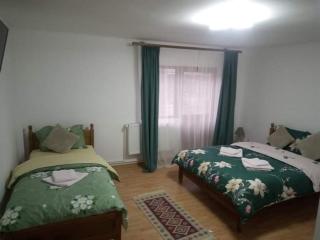 Casa Anastasia Slănic Moldova - Slănic-Moldova - 6